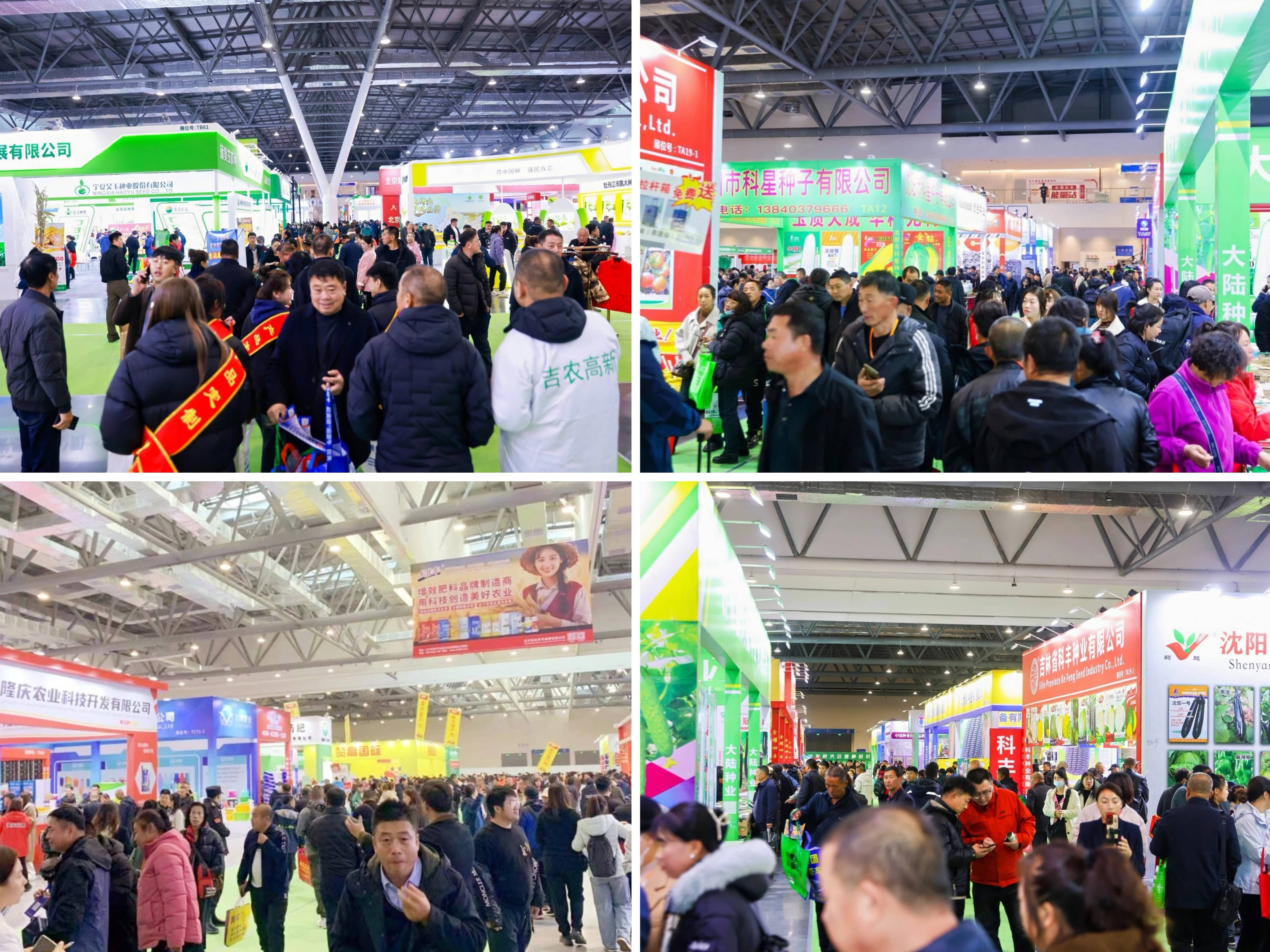 精彩回顾| 第30届哈尔滨种业博览会圆满收官